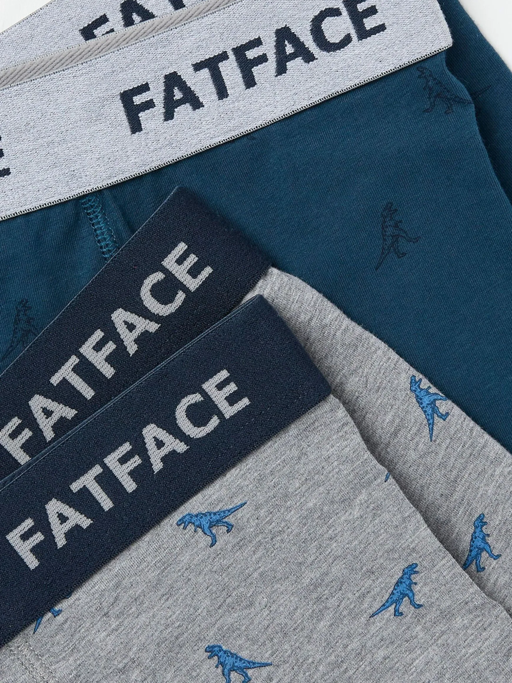 FatFace Dinosaur Boxers 2 Pack Grey Online